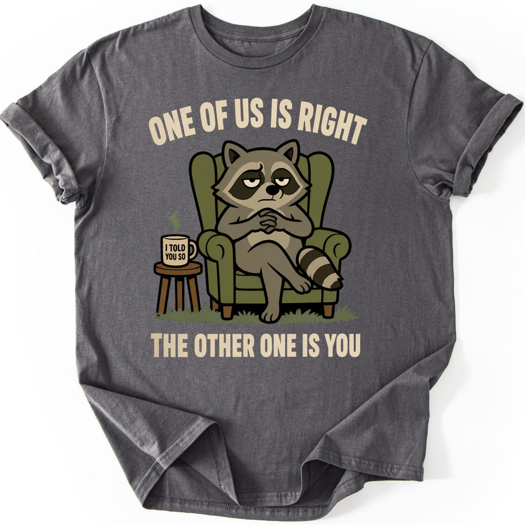 Smug Raccoon T-shirt — Charcoal