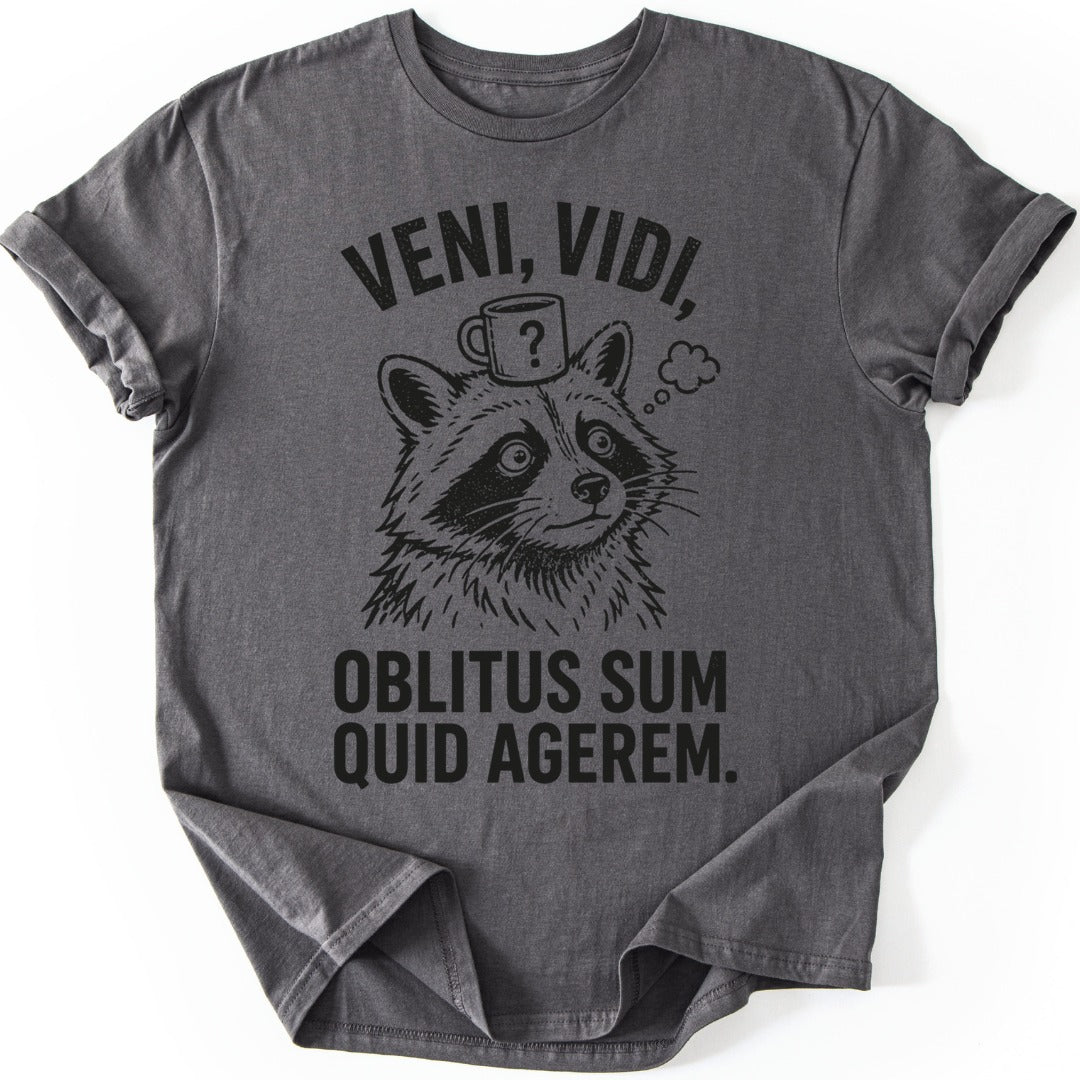 Latin Raccoon T-shirt — Charcoal