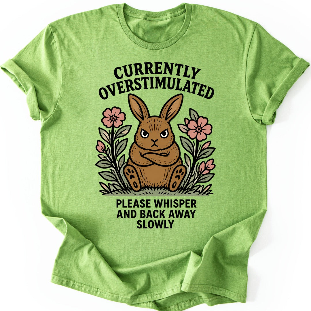 Overstimulated Bunny T-shirt — Kiwi